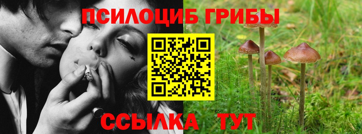 Alpha PVP СОЛЬ   Сертолово  Купить наркотик  Каннабис  COCAIN  Вход с VPN  ГАШИШ  Канабис  МЕФ   ГАШ 